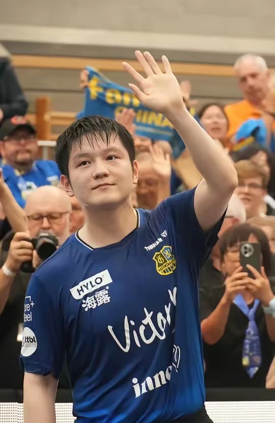 的努力和进 的努力和进