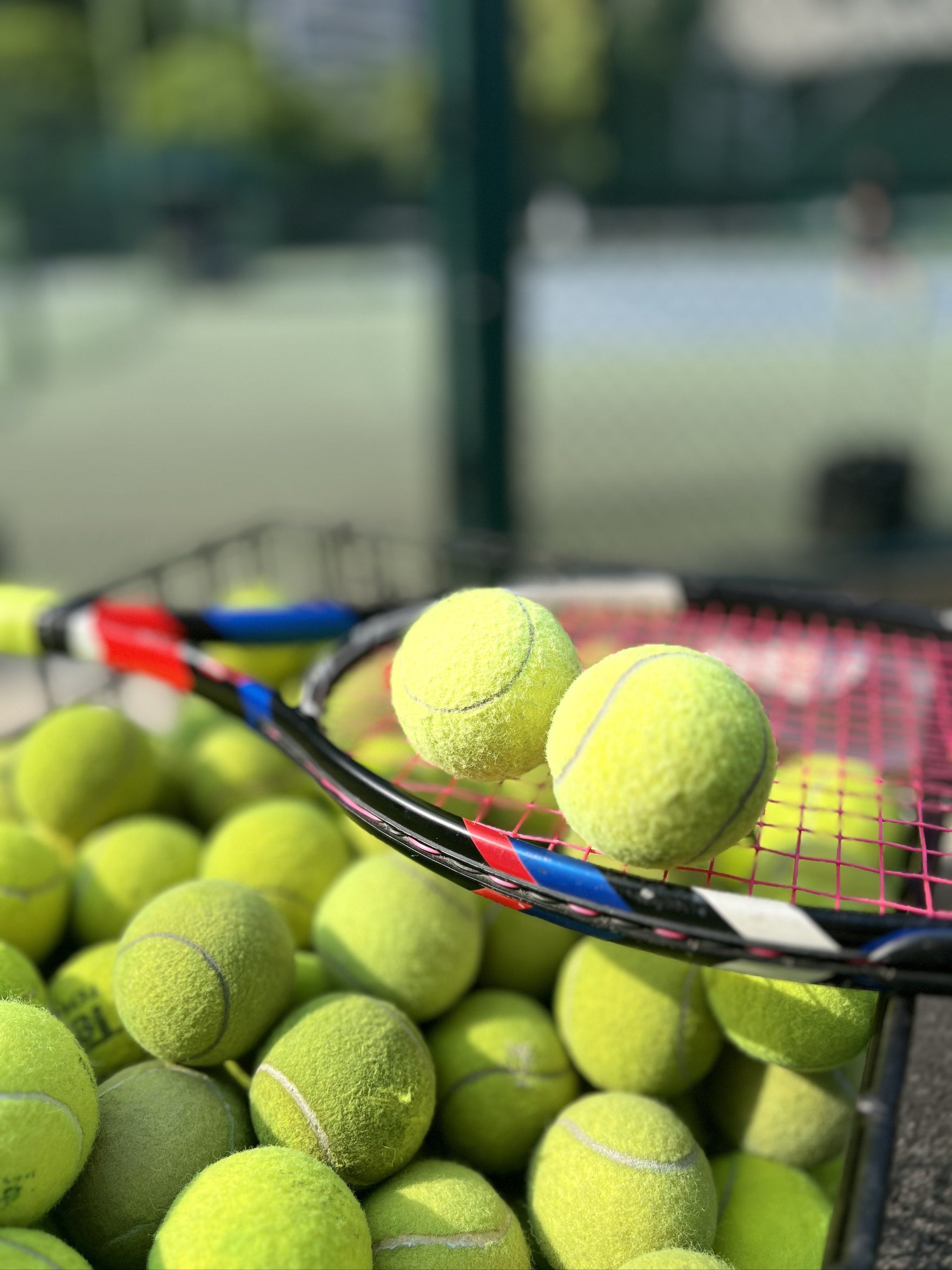 表团带来了 表团带来了