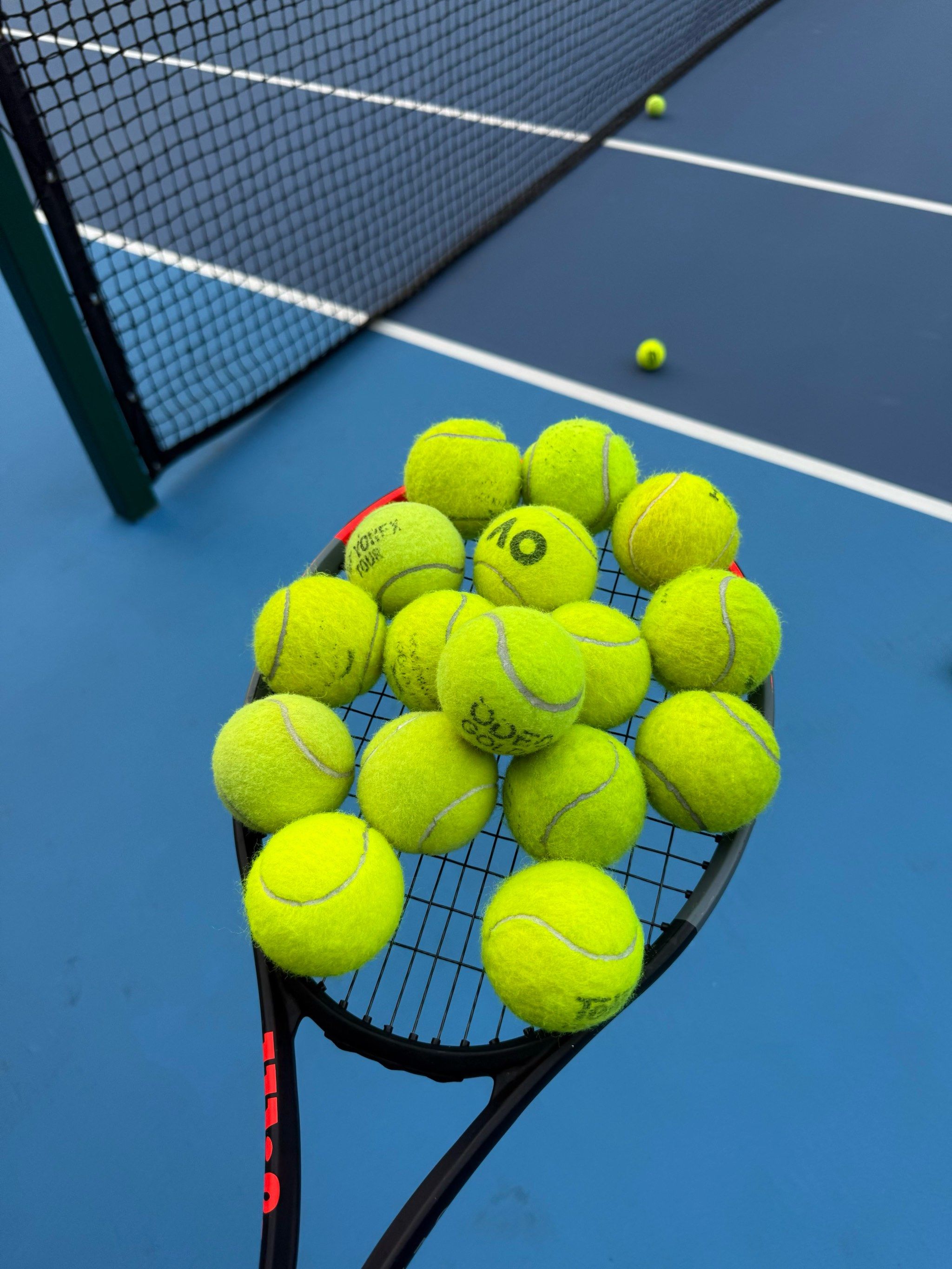 会积极做出 会积极做出